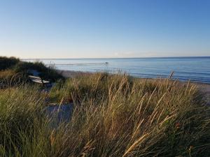 a beach with tall grass and a body of water at Holiday Home Grep - 800m from the sea in NE Jutland by Interhome in Strandby
