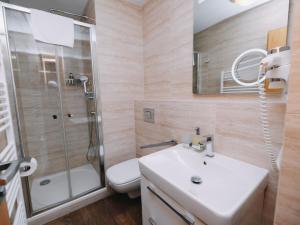 a bathroom with a sink and a shower and a toilet at Studio Harrachov Resident by Interhome in Harrachov