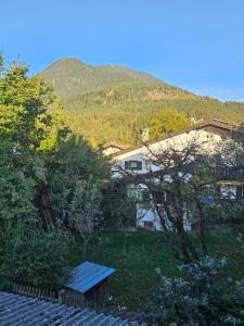 Blick auf einen Hof mit einem Gebäude und Bäumen in der Unterkunft Ferienwohnung Alpencity in Garmisch-Partenkirchen