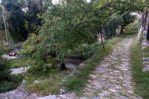 A garden outside Archontiko Michael Pelion
