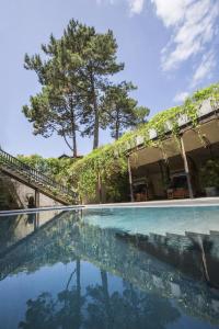 a swimming pool with a tree in the background at Hôtel Ville d'Hiver in Arcachon