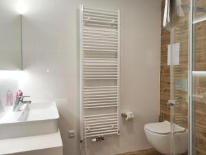 Koupelna v ubytování Tichý Apartmán u Mumlavského vodopádu 2KK s garáží v těsné blízkosti Hornického muzea - by Relax Harrachov