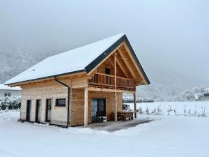 Das Grünhaus - Dein Chalet in Grünau im Almtal v zimě