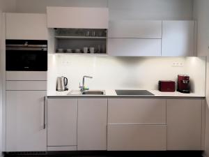 Kuchyň nebo kuchyňský kout v ubytování Tichý Apartmán u Mumlavského vodopádu 2KK s garáží v těsné blízkosti Hornického muzea - by Relax Harrachov