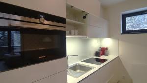 Kuchyň nebo kuchyňský kout v ubytování Tichý Apartmán u Mumlavského vodopádu 2KK s garáží v těsné blízkosti Hornického muzea - by Relax Harrachov