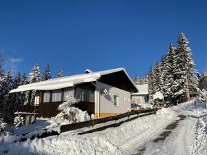 dom pokryty śniegiem na pokrytej śniegiem drodze w obiekcie Almhaus Sankt Oswald 