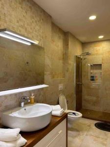 a bathroom with a sink and a shower and a toilet at Luxurious House for Rent in Pristina