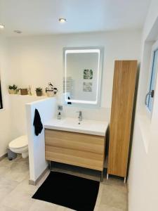 a bathroom with a sink and a mirror and a toilet at La Croisée des Vignobles - Gîte Fins Bois 