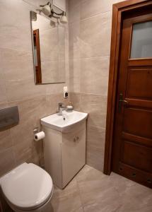 a bathroom with a toilet and a sink and a mirror at Domek Wilgówka in Jastrzębia