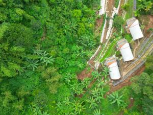 una vista aérea de un bosque con árboles y plantas en Selayang Olivehill - Kemewahan Glamping di Hutan, 