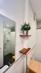 a bathroom with a shower and a potted plant on a shelf at Modernes Mini-Apartment in Kehl Kork in Kehl am Rhein