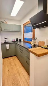 a kitchen with a sink and a counter top at Modernes Mini-Apartment in Kehl Kork in Kehl am Rhein