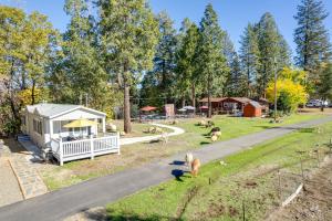 a group of animals standing in the grass near a park at Cozy Placerville Cottage with Pool on Livestock Farm in Placerville