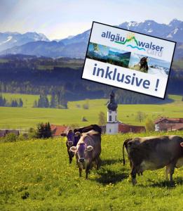 een groep koeien in een veld met een bord bij Urheim Rose in Oy-Mittelberg