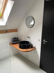 a bathroom with a sink and a mirror on a shelf at Gasthof zum grünen Baum in Boitzenburg