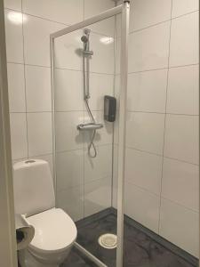 a bathroom with a toilet and a shower at Trestads Värdshus in Vänersborg