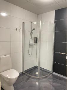 a bathroom with a shower and a toilet at Trestads Värdshus in Vänersborg