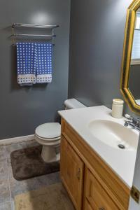 a bathroom with a toilet and a sink and a mirror at Lake Manistee Lodge Ski & Snowmobile Hideout in Kalkaska