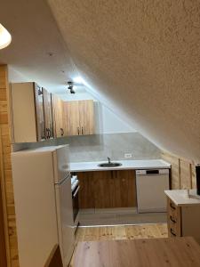 een keuken met een spoelbak en een koelkast bij Apartman Filip in Kolašin +8 foto's