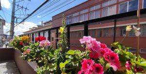 a group of flowers in front of a building at Hakuna Matata in Cuenca