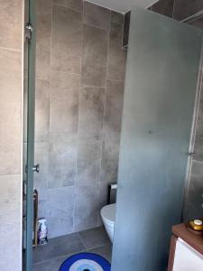 a bathroom with a toilet and a shower stall at Q2 Çiçek sitesi in Bodrum City