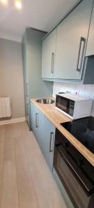 a kitchen with a sink and a microwave on a counter at Blima Central Rooms in Dublin