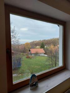 Rakovac的住宿－Аpartman ELENA，享有田野景色的窗户