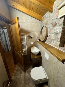 a bathroom with a toilet and a sink and a mirror at Hotel Ambassador Voskopojë in Voskopojë
