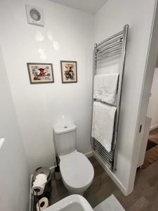a bathroom with a white toilet and a sink at En-suite Room with Independent Entrance. in Edinburgh