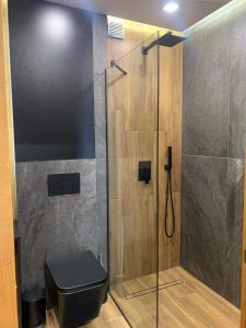 a bathroom with a glass shower with a toilet at Luxury Green Apartment - up to 4 people in Bansko