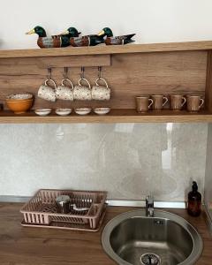a kitchen sink with a shelf with bowls and birds on it at Seoski turizam Žigale 