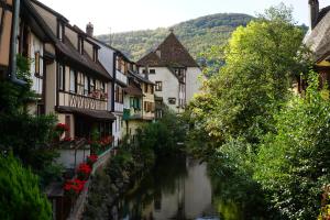 ein Fluss mitten in einer Stadt mit Gebäuden in der Unterkunft Gîte Du XVe in Kaysersberg