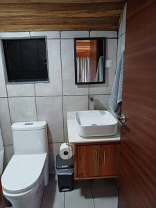 a small bathroom with a toilet and a sink at BusHotel Poás con Jacuzzi y Chimenea in Fraijanes
