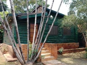 una baita di tronchi verde con delle scale di fronte di Cabaña Ñangapirí a Puerto Iguazú
