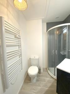 uma casa de banho com um WC e uma cabina de duche em vidro. em Chalet de 3 chambres a Le Devoluy a 200 m des pistes avec piscine partagee sauna et balcon em Le Dévoluy