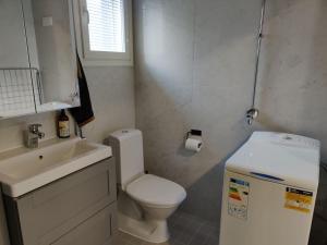 a small bathroom with a toilet and a sink at 3 Bedroom Duplex apartment in Helsinki