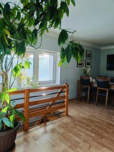 佩霍維采的住宿－Apartament nad Potokiem，客厅配有长凳和一些植物