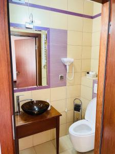 a bathroom with a sink and a toilet at Pokoje noclegowe KASZTEL - Łowisko in Łowisko