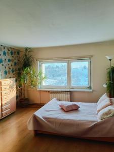 a bedroom with a large bed and a window at Apartament nad Potokiem in Piechowice