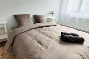 1 cama grande con almohadas en el dormitorio en Le César, en Laxou