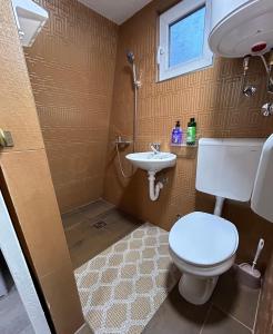 波德戈里察的住宿－Bungalov Dunja，一间带卫生间和水槽的浴室