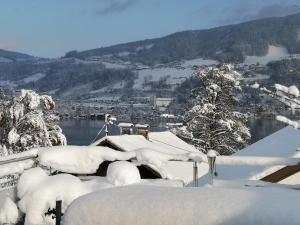 Apartment Schwarzindien during the winter