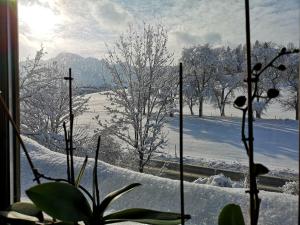Apartment Schwarzindien during the winter