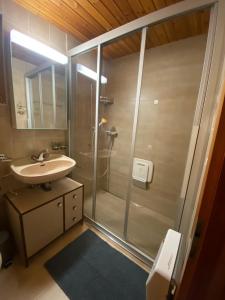 a bathroom with a shower and a sink at Chalet Rustique à La Tzoum' in La Tzoumaz