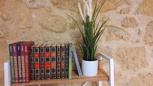 a potted plant sitting on a shelf with books at Al Vicolo in Enna