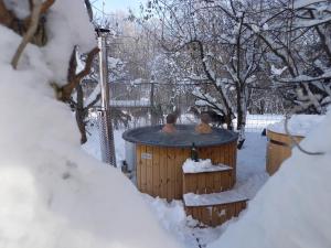 Wellness Vejminek na farmě u koní v zimě