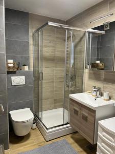 un bagno con doccia, WC e lavandino di zeleni bor Divcibare a Divčibare Altre 36 foto