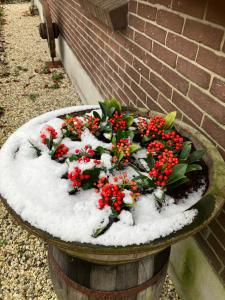 un planteur rempli de neige et de fleurs rouges dans l'établissement Bed & Breakfast Hoeve Happiness, à Voorthuizen