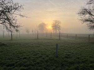 a foggy field with trees and the sunrise in the background at De Citadel - De Boomgaard in Markelo