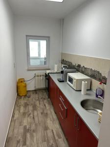 La cuisine est équipée d'un évier et d'un four micro-ondes. dans l'établissement Port View Studio-Constanța, à Constanţa
